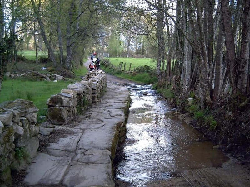 Ruta Ribeira Sacra and Sarria: Between Vineyards, History and the Way of Saint James - Price and Logistics