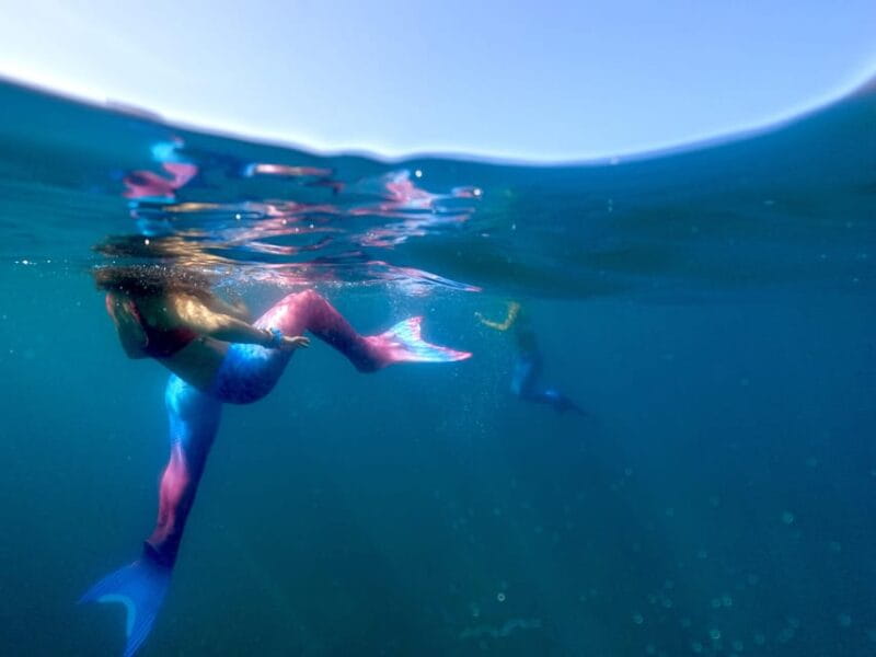 S. Miguel: Mermaid Experience in Azores - Key points / Takeaways