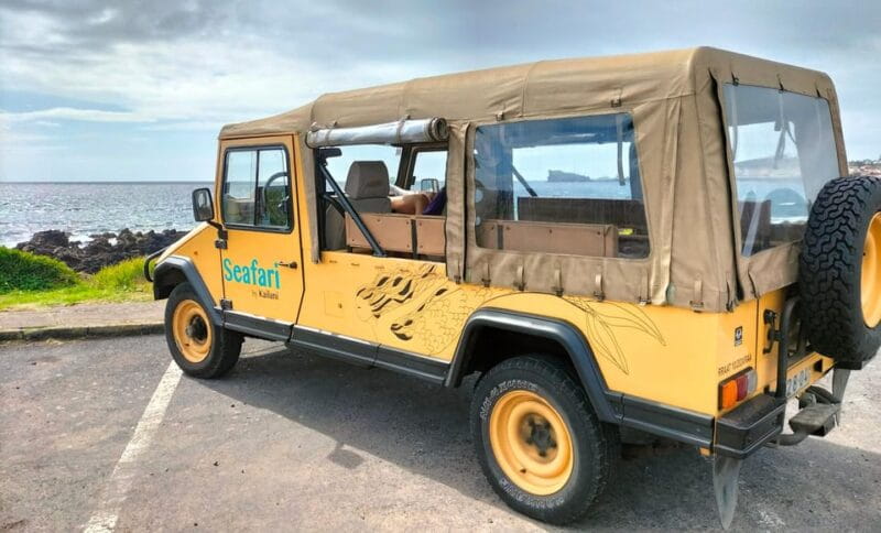 S. Miguel: Mermaid Experience in Azores - Price and Value