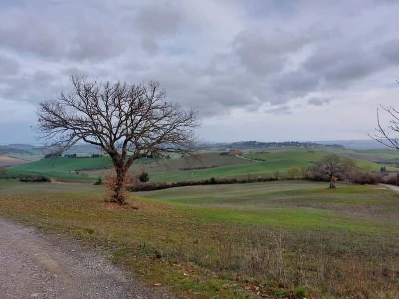 S.Miniato e-bike tour and aperitif (optional yoga at sunset) - Exploring San Miniato and its Hills on E-Bikes