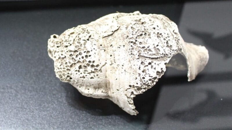 S. Teresa Gallura: Lu Brandali & Longosardo Tower ticket - Key Points/Takeaways