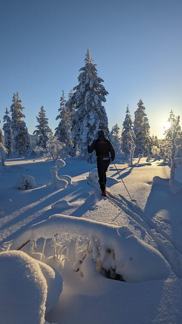 Saariselkä: Back-Country Skiing Guided Tour - Exploring Saariselkä’s Back-Country Skiing Tour