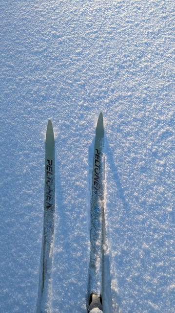 Saariselkä: Back-Country Skiing Guided Tour - Practical Tips for a Memorable Tour