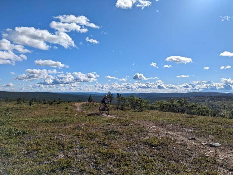 Saariselkä: Flow trails and Rock Gardens Mountain Bike Tour - Who Should Consider This Tour?