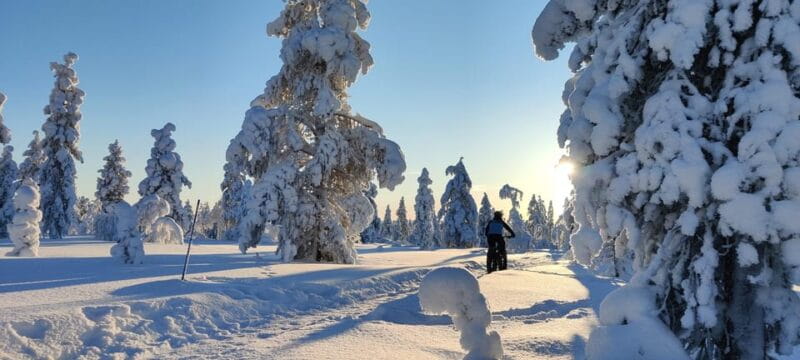 Saariselkä: Guided Fatbike Tour - What to Expect in Terms of Comfort and Practicalities