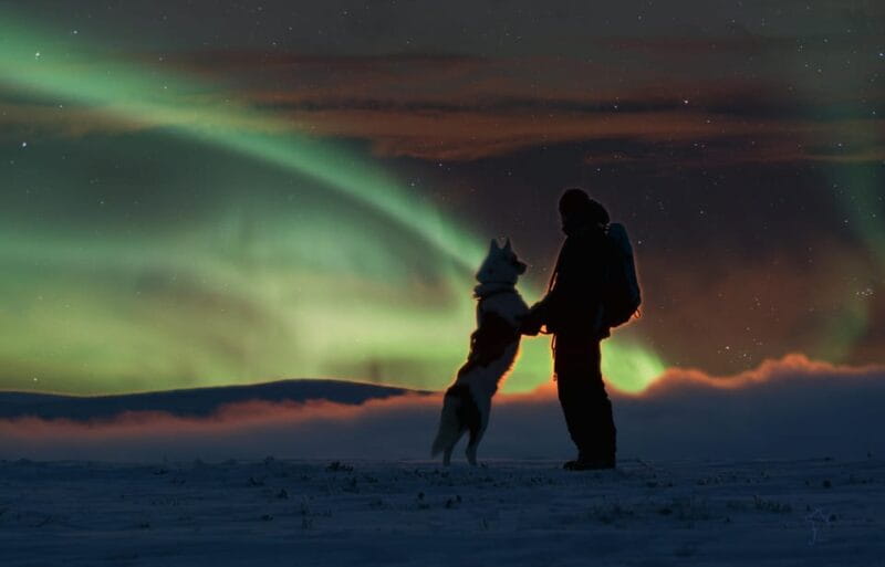 Saariselkä: Husky Safari with Aurora Borealis Hunt - Key points / Takeaways