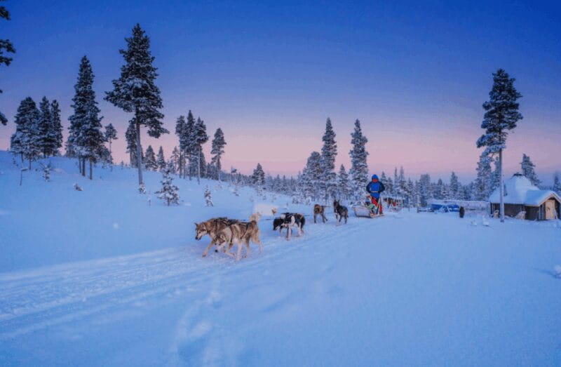 Saariselkä: Husky Safari with Aurora Borealis Hunt - The Itinerary Breakdown: Logistics and Experience