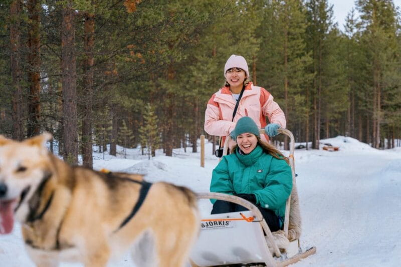 Saariselkä: Husky Safari with kennel visit - An In-Depth Look at the Husky Safari Experience