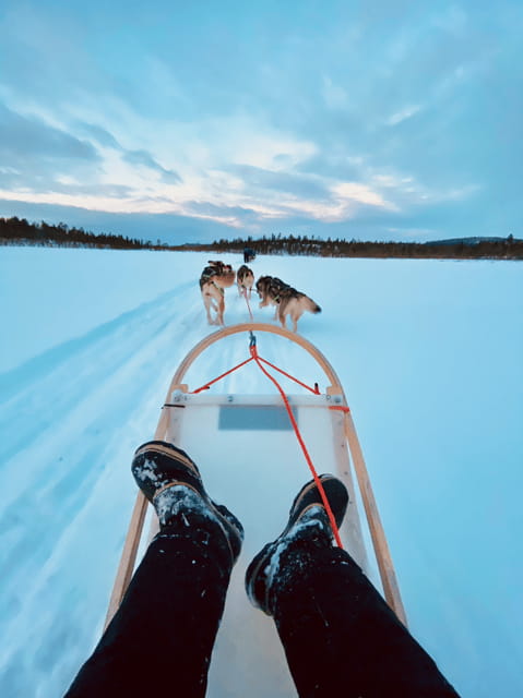 Saariselkä: Husky Safari with kennel visit - Price & Value: What You’re Getting for $226