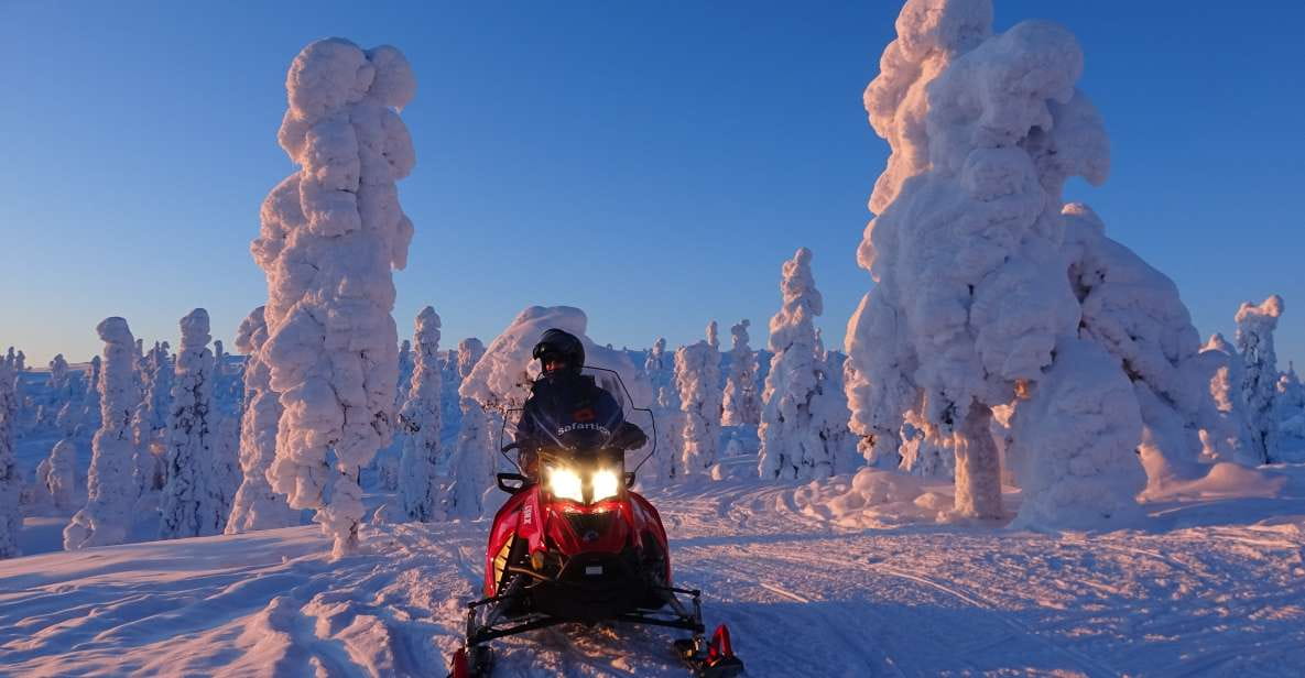 Saariselkä/Inari: Evening Snowmobile Tour With Fire & Dinner - Snowmobile Experience