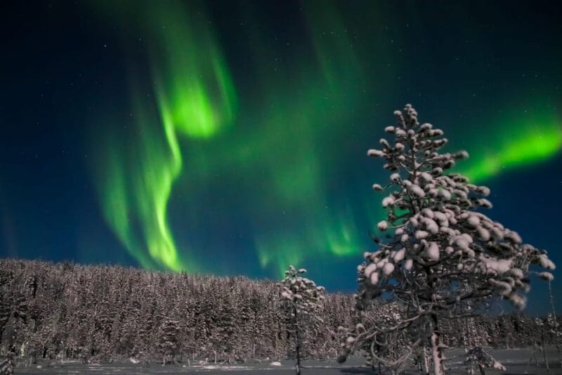 Saariselkä: Northern Lights Hunting Snowshoe Trip - Key points / Takeaways