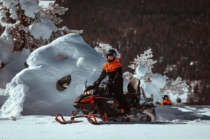Saariselkä: One Hour Snowmobile Safari - Why This Tour Works Well