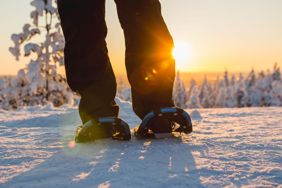 Saariselkä: Scenic Snowshoe Safari - Warm Clothing and Gear