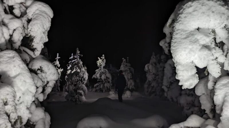 Saariselkä: Snowshoeing Tour in Urho Kekkonen National Park - The Experience: A Walk Into the Unknown