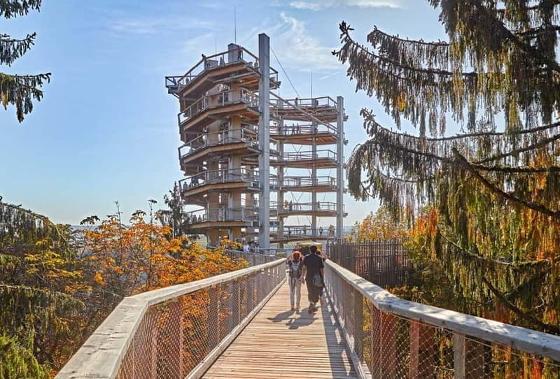 Saarland: Treetop Walk Saarschleife & Lookout Tower - Exploring the Treetop Walk Saarschleife & Lookout Tower