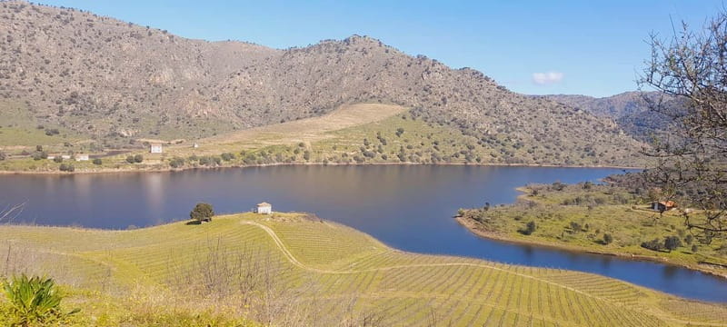 Sabor Lakes' Tour - Wine Tasting and Cultural Stops