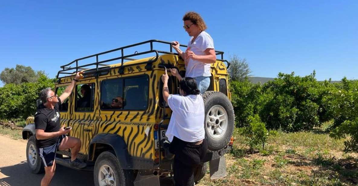 Safari & Boat Tour-Mountains & Dolphins - Key Points