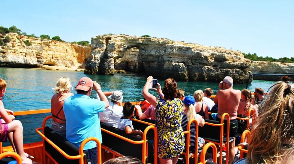 Safari & Boat Tour-Mountains & Dolphins - Cork Oaks and Industry Insights