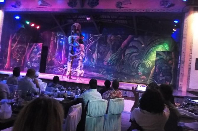 Safari Cat Dancers Show And Dinner - Transportation and Logistics