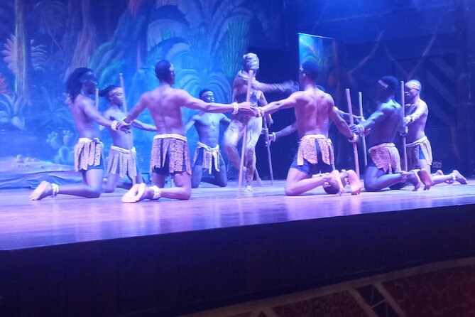 Safari Cat Dancers Show And Dinner - Customer Service Highlights