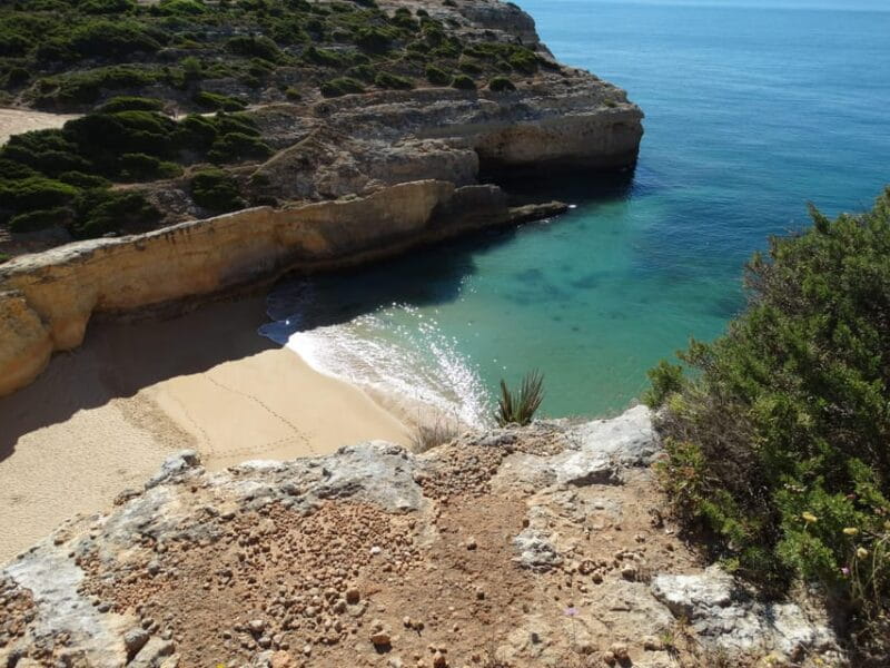 Safari Come and Discover Lagos Sagres Guided Tour - Key Points / Takeaways