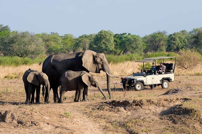 Safari Game Drive in Zambezi National Park With Hotel Pickup - Tour Details