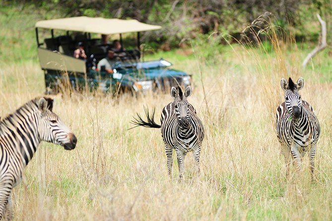 Safari Game Drive in Zambezi National Park With Hotel Pickup - Booking Information