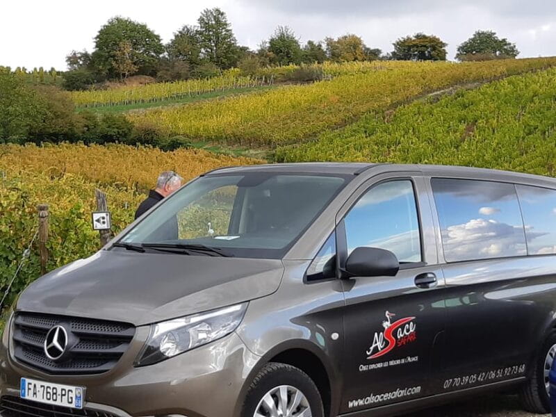 Safari Wine Villages & Wine tasting - Key points / Takeaways