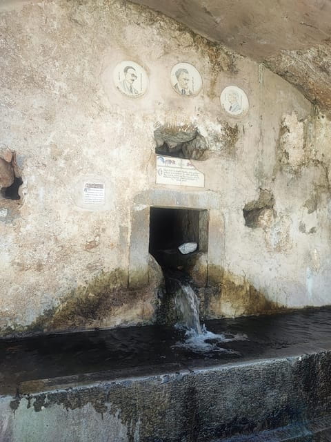 Safari:Lasithi plateau, Mythology park,olive oil tasting - Lunch, Olive Oil, and Old Trees