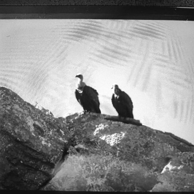 Safari:Lasithi plateau, Mythology park,olive oil tasting - The Off-Road Jeep Ride and Final Stops