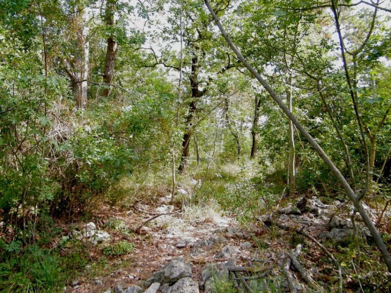 Sage Route - Key Points / Takeaways