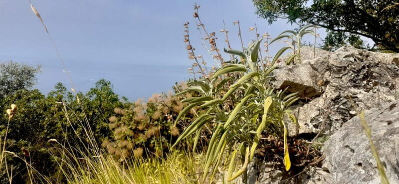 Sage Route - Entering the Karst Wilderness: The Itinerary