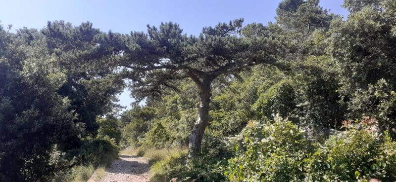 Sage Route - Who Should Consider This Tour?