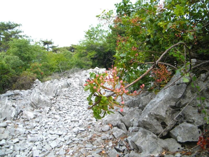 Sage Route - The Sum Up