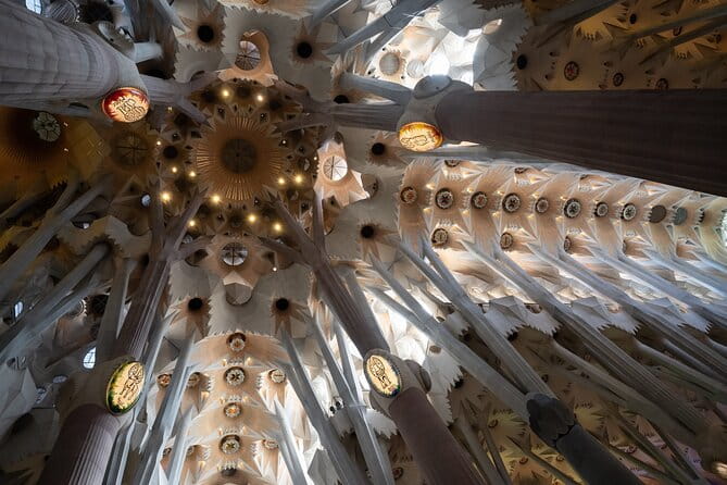 Sagrada Familia and Guell Park Private Tour - Who Would Love This Tour?