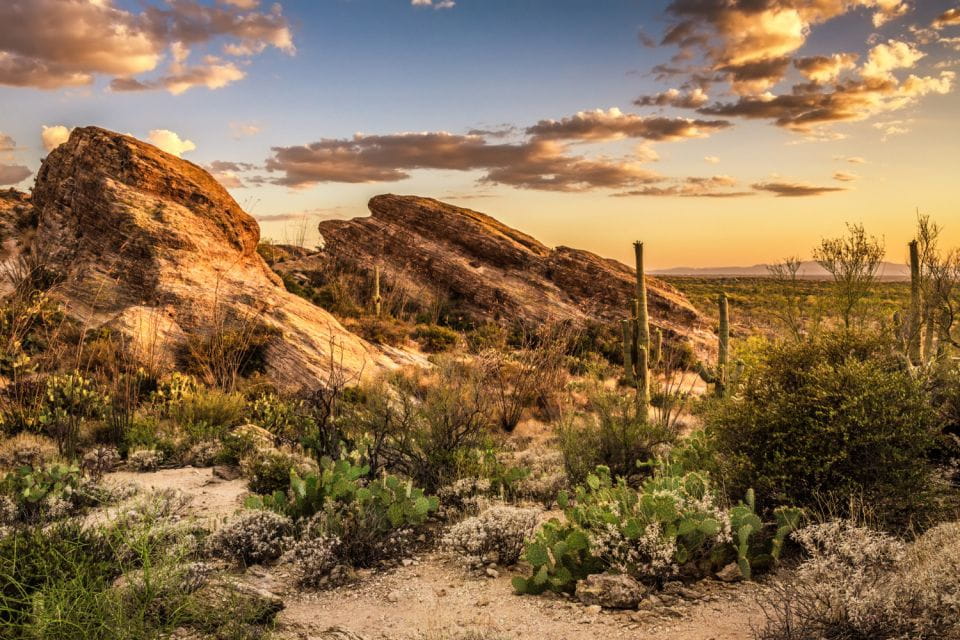 Saguaro National Park Self Guided Driving Audio Tour - Starting Point and Key Stops