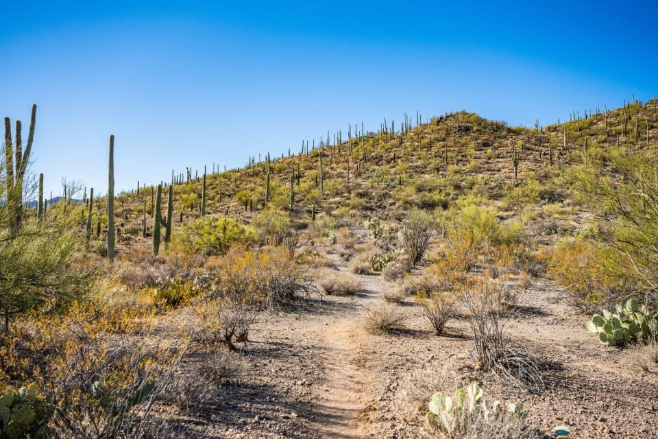 Saguaro National Park Self Guided Driving Audio Tour - Customer Feedback