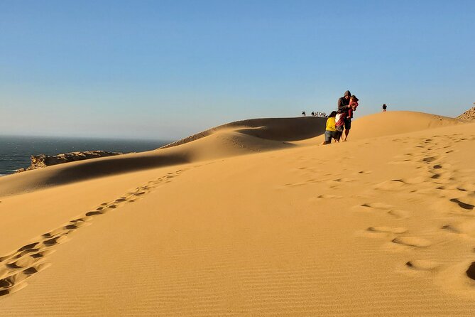 Sahara Dunes & Paradise Valley Day Trip From Agadir - Key Points