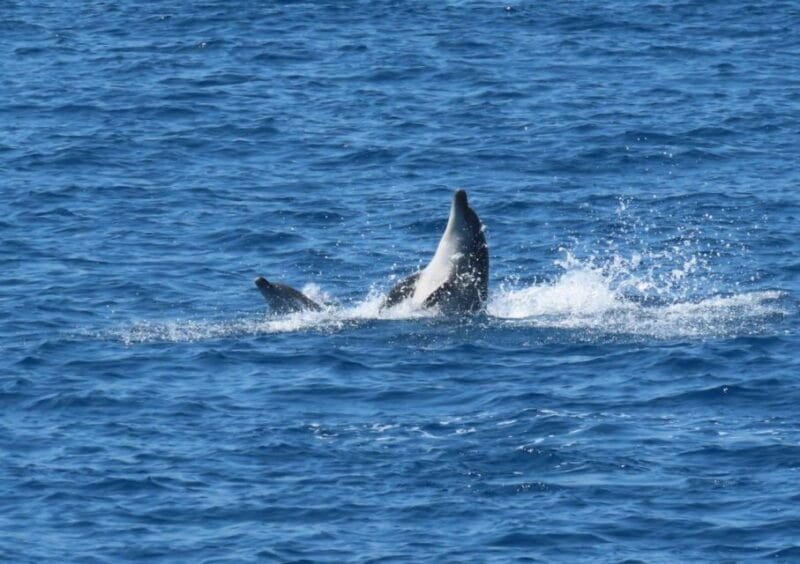 Sail Away in Kos: Unveil 3 Greek Isles Secrets! - Who Will Love This Tour?