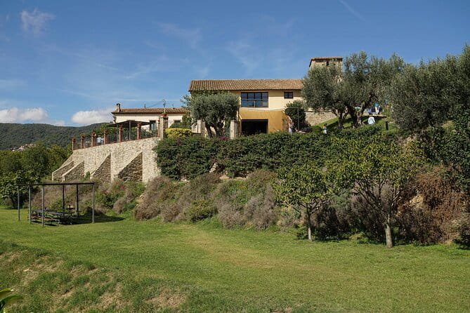 Sailing and Wine Tasting Experience Small Group in Barcelona - What’s Included and What’s Not