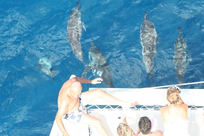 Sailing Catamaran Cruises - Meeting and End Point