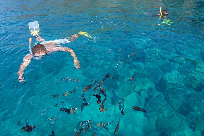 Sailing Catamaran Cruises - Booking and Departure