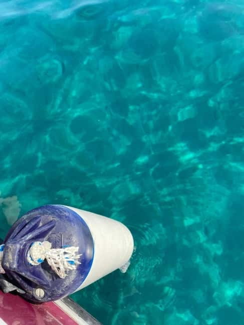 Sailing the Cilento coast: adventure, and serenity - Who Would Love This Experience?