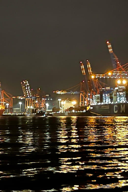 Sailing trip ''the Elbe by night", Hamburg/Elbe - Who Is This Trip Best For?