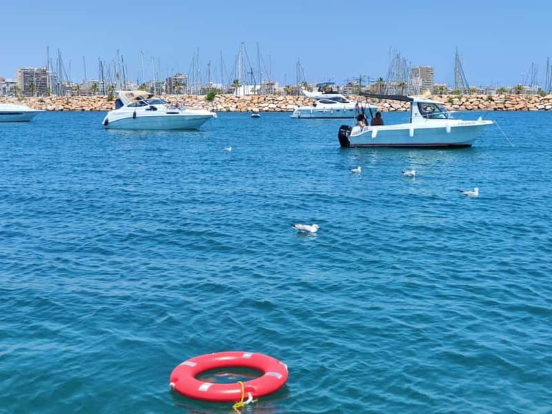 Sailing with sunset and swim in the sea - The Sum Up: A Relaxed, Scenic Sea Escape