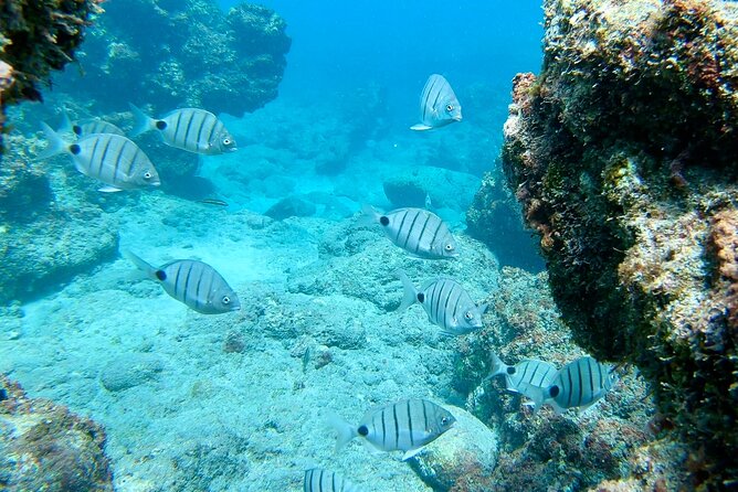 Sailing Yacht Half Day- With Cape Verde Sailing - Cancellation Policy