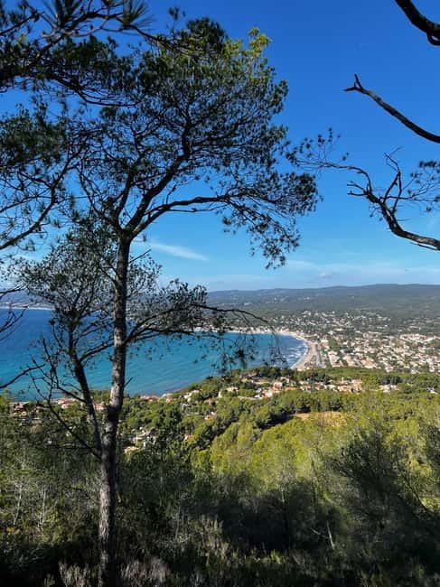 Saint-Cyr-sur-mer: guided hike to the Sand Dune - The Sum Up: A Genuine Taste of Provence’s Land and Sea
