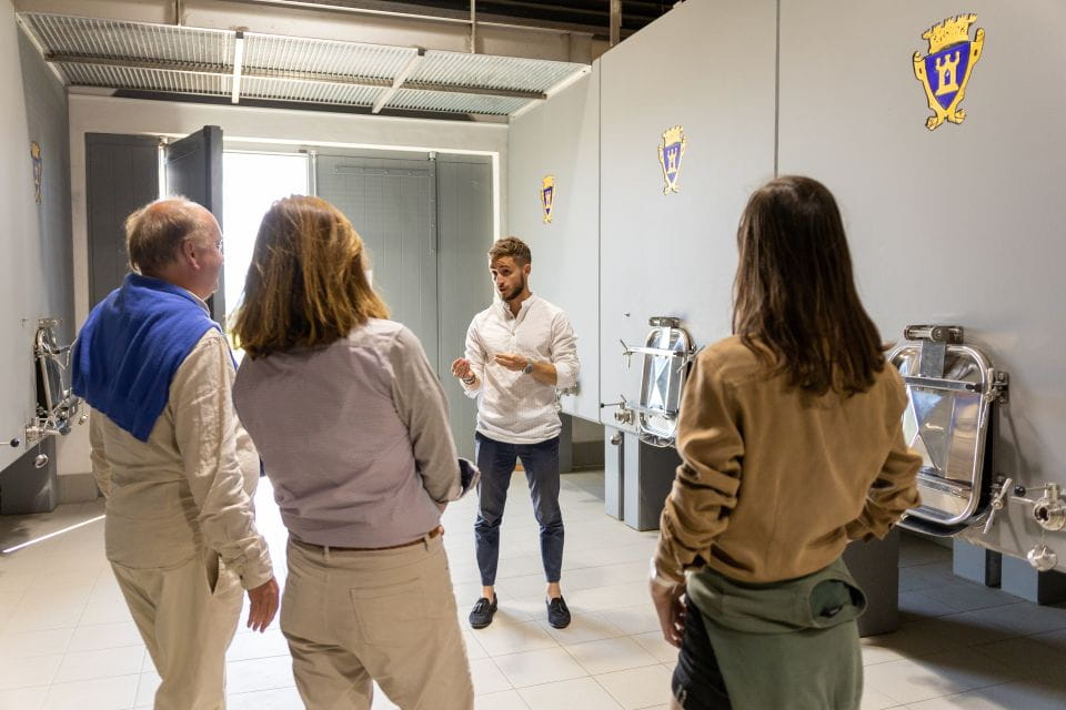 Saint-Émilion: Bordeaux Vineyard Tour and Wine Tasting - Key Points