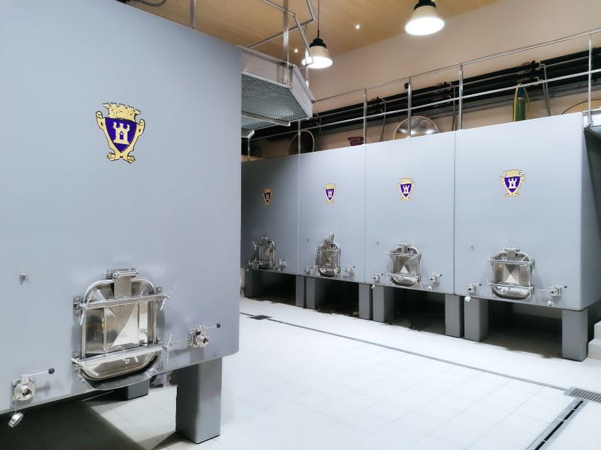 Saint-Émilion: Bordeaux Vineyard Tour and Wine Tasting - Tour of the Renowned Vineyard