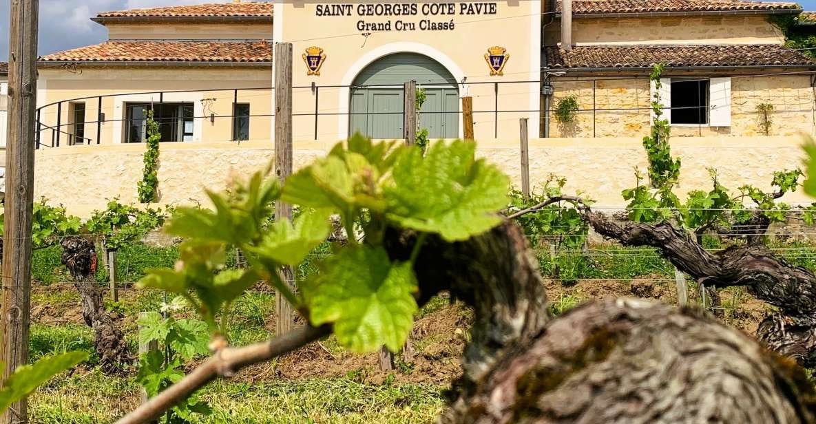 Saint-Émilion: Bordeaux Vineyard Tour and Wine Tasting - Frequently Asked Questions